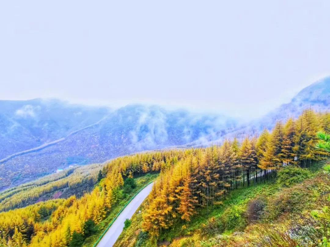 【游阿姨旅行】国庆穿越宁夏最美公路 • 赏漫山彩林 • 登红军长征路上最后一座大山4日自驾